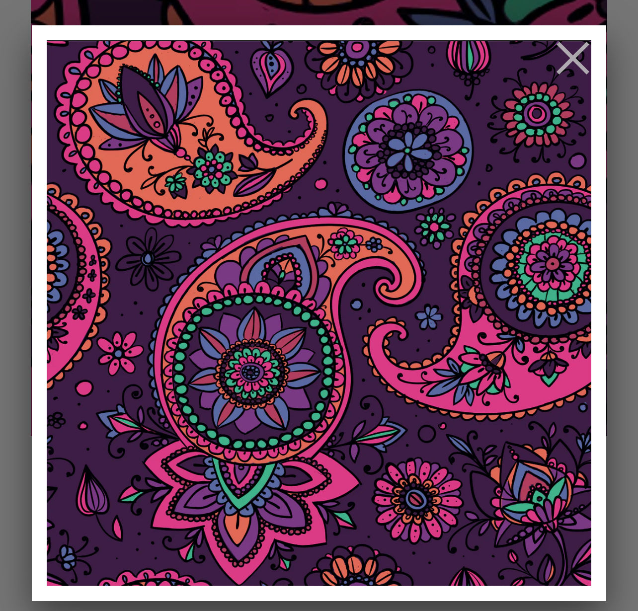 Paisley Perfection - Girl Romper